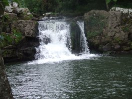 Pollanassa_waterfall_Mullinavat
